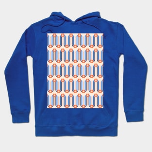 Apricot Crush, Blue, Retro Waves and Flowers Hoodie